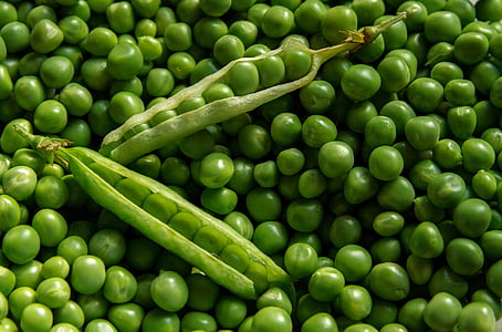 green peas closeup photography thumbnail