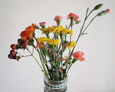 Clear Glass Vase With Red and Yellow Flowers thumbnail
