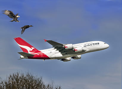 plane on mid air thumbnail