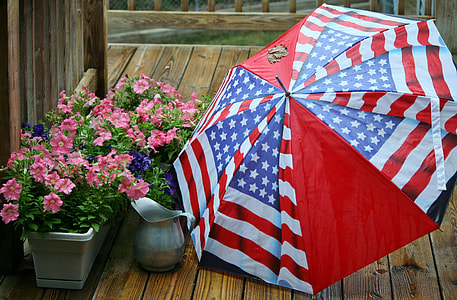 U.S.A. themed flag near plants and pitcher thumbnail