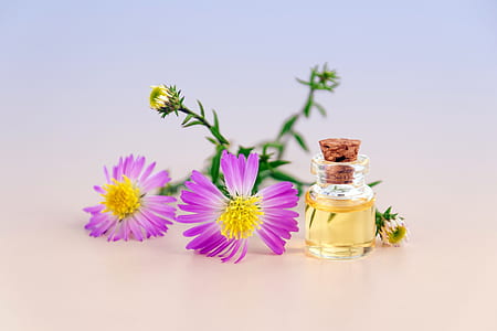 purple and yellow flowers thumbnail