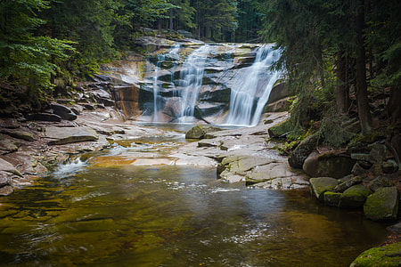 waterfalls surrounded by green trees thumbnail