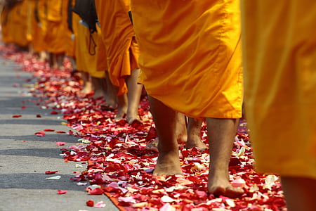 people stepping on debris thumbnail