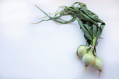 white three white onions thumbnail