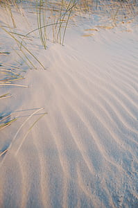 green grass coming out of white fine sand thumbnail