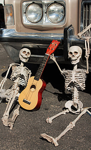 ukulele beside skeletons thumbnail