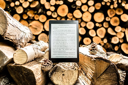 Black E-book Reader on Brown Tree Logs thumbnail