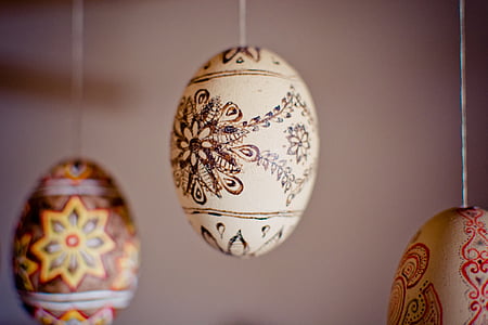 oval white and brown egg display thumbnail