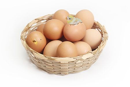 basket of chicken eggs thumbnail