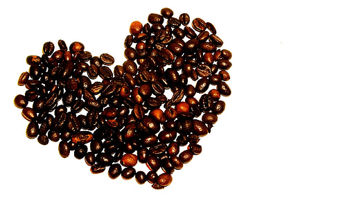 closeup photo of coffee beans thumbnail