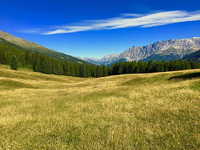 landscape photography of trees away from mountains thumbnail