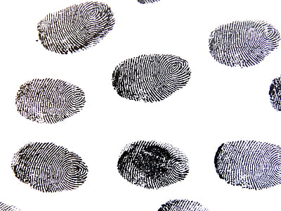 finger prints thumbnail