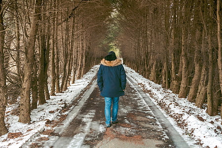 man walking outdoor with snow surrounded by trees thumbnail
