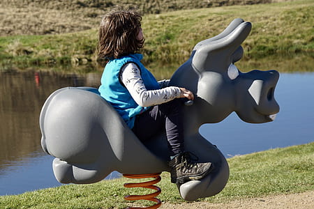girl riding animal spring rider thumbnail