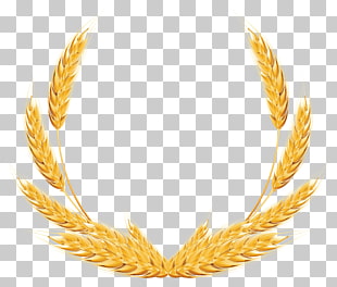 Wheat , Wheat Decoration , yellow wheat wreath PNG clipart
