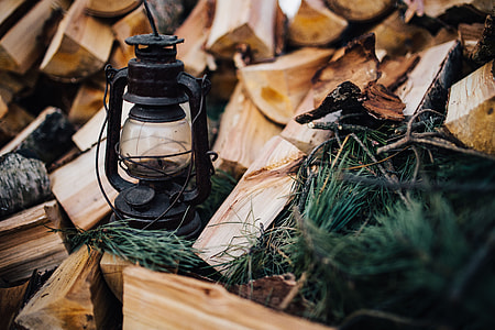 Chopping wood in the forest thumbnail