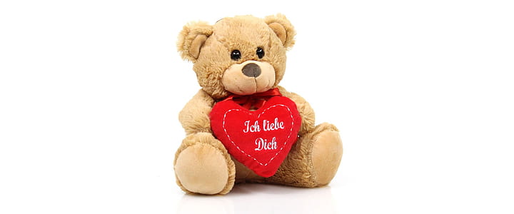 brown bear plush toy thumbnail