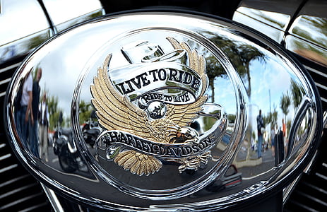 chrome-colored buckle thumbnail
