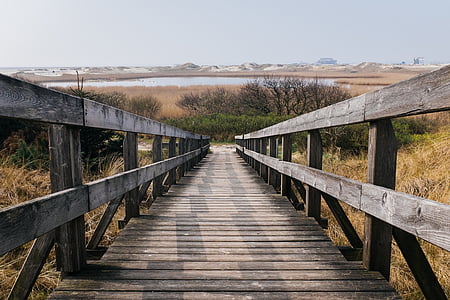 brown wooden bridge surrounded by grass thumbnail