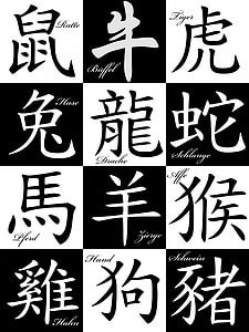 Chinese, Signs Of The Zodiac thumbnail