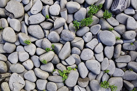 grey stone lot thumbnail