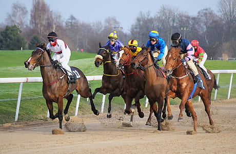group of men racing with horses during daytime thumbnail
