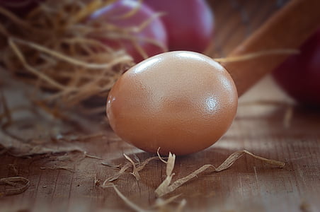 brown egg beside nest thumbnail