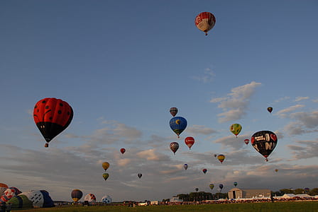 flight, sky, flying, festival thumbnail
