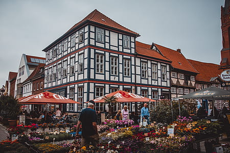 People Standing Beside Flowers Near Building thumbnail