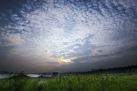 green field at daytime photo thumbnail