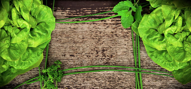 green leaf plant on brown wooden surface thumbnail