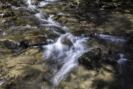 Cascading Water in Great Smoky Mountains National Park, North Carolina thumbnail