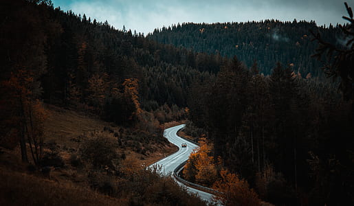 highway in the middle of forest leading to mountain thumbnail