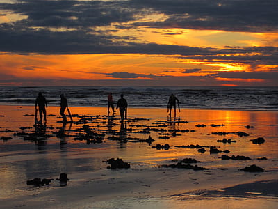 five people near beach during sunset thumbnail