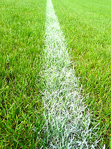 green grass field during day time thumbnail