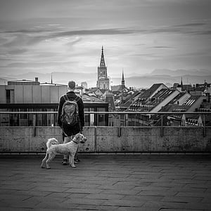 man standing beside fence with dog thumbnail