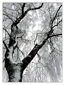 low angle photo of tree covered with snow thumbnail