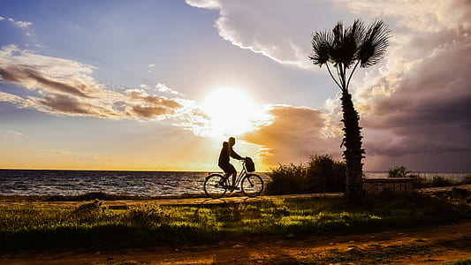 silhouette photography of person driving bicycle thumbnail