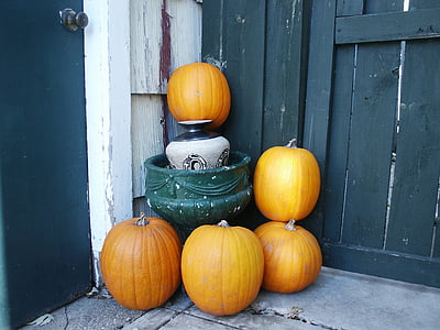 five yellow pumpkins thumbnail
