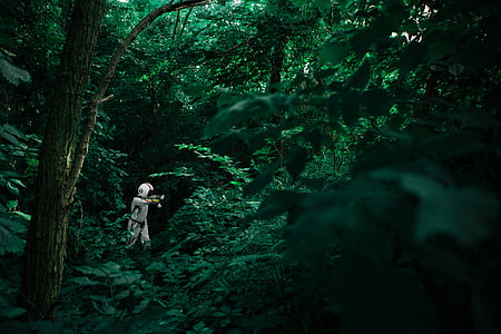 person in forest during daytime thumbnail