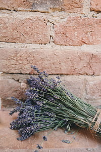 flowers, bricks, pattern, colors thumbnail