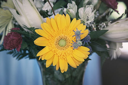 close-up photography of yellow gerbera daisy among flowers in vase thumbnail