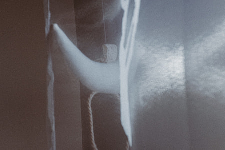 Soft light thumbnail