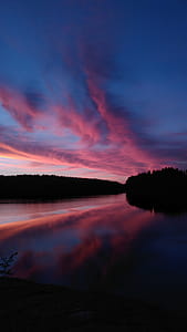 Body of Water Surrounded by Trees thumbnail
