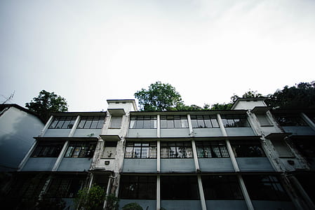 low angle view of building thumbnail