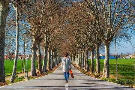 person walking on road carrying guitar between trees during daytime thumbnail
