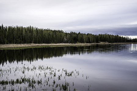 Shoreline Landscape of Vee Lake under Clouds thumbnail