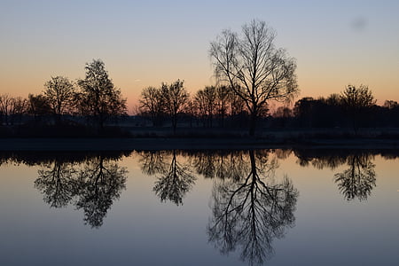 body of water with trees thumbnail