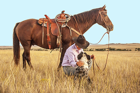 cowboy sitting near merle Australian shepherd and brown horse on brown grass field during daytime thumbnail