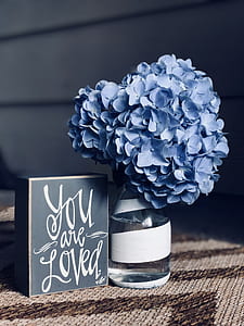 You are Loved slab near purple hydrangea flower thumbnail